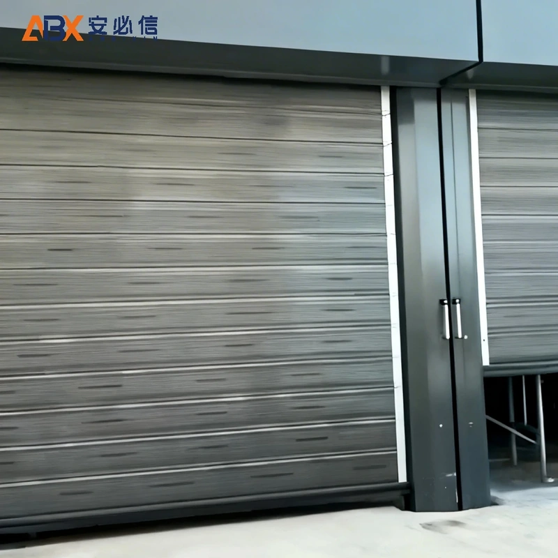 丽水市软帘高速门